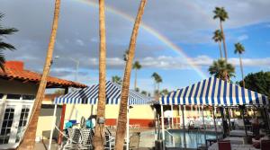a rainbow in the sky over a pool with palm trees at EDR Hotel - Adults Only & Clothing Optional in Palm Springs