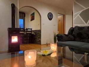 a living room with a couch and a fire place at Apartman Lelly in Novi Lazi