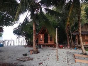 Or Mandira Guest House في Fam: كابينة صغيرة على شاطئ به أشجار نخيل