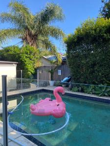 um flamingo rosa flutua numa piscina em Cosy Haven For Females Only or Females & Child/ren em Brisbane