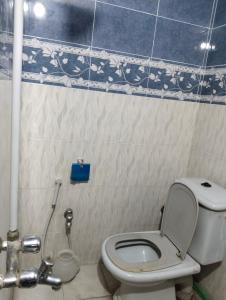 a small bathroom with a toilet and a shower at Homewood Suites Family Guest House & Apartments in Lahore