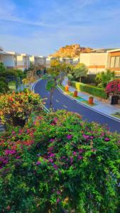a winding road with flowers in the middle at Phoenix Pool Villa Cam Ranh in Cam Ranh