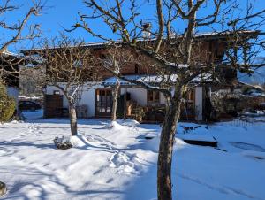 a house in the snow with trees in front at Ferienwohnung Rösslstube in Ruhpolding