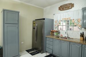 a kitchen with a stainless steel refrigerator and a window at Spacious Luxury 3 Bed Rooms in Kingston in Kingston
