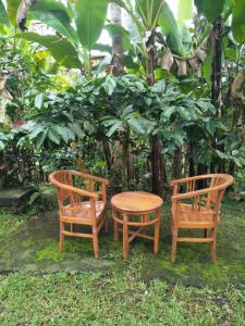 Fotografie z fotogalerie ubytování Purana Guest House v destinaci Tabanan