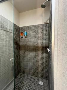 een badkamer met een douche en een glazen deur bij Departamento privado en el corazón de Guadalajara in Guadalajara