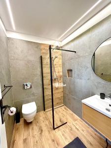 W łazience znajduje się prysznic, toaleta i umywalka. w obiekcie FamilyFitHouse w mieście Bystrzyca