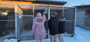 Hosté ubytování Apartmán v centru Království sov