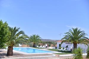 une grande piscine avec des palmiers en face d'une maison dans l'établissement Break Holidays House, à Moura