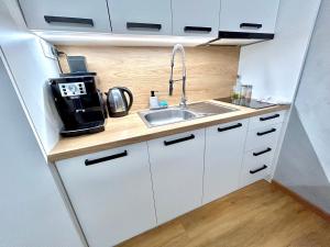 uma pequena cozinha com um lavatório e um micro-ondas em FamilyFitHouse em Bystrzyca