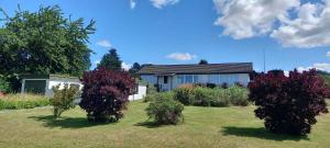 a house with three bushes in front of a yard at Cozy Summerhouse With Spectacular Views! in Ølsted