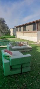 a group of couches sitting in the grass at משפחתית בשובה 