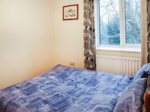 a bedroom with a bed and a window at Bryn Poeth in Bodorgan