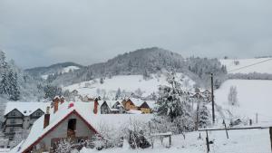 Casa Ioana зимой