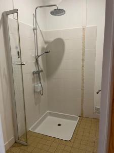 a shower with a glass door in a bathroom at Serene Wilderness Getaway for 15 next to a historic castle 