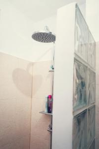 bagno con doccia e porta in vetro di Robert's Apartment a Bistriţa