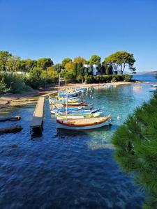 a group of boats docked at a dock in the water at Yuca in Vallauris