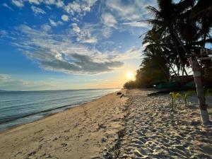 a beach with palm trees and the ocean at sunset at Phangan Lodge in Ban Tai +135 photos