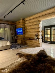 TV a/nebo společenská místnost v ubytování Rtanj Kopaonik Eco Resort & Spa