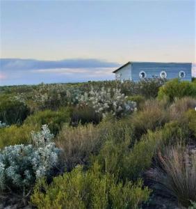a blue house in the middle of a field of plants at Farm Stay: Enjoy Fynbos Views & Wood Fired Hot Tub in Hopefield