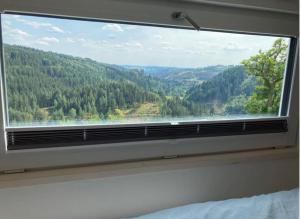 uma janela com vista para uma floresta em Tinyhouse Wald(t)raum em Wilhelmsthal