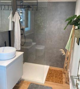 ein Bad mit einer Dusche, einem WC und einem Waschbecken in der Unterkunft Tinyhouse Wald(t)raum in Wilhelmsthal