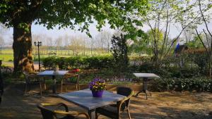Bij Aquamarijn في Stieltjeskanaal: طاولتين وكراسي في حديقة عليها زهور