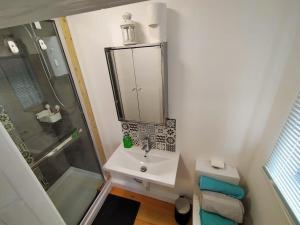y baño con lavabo y ducha. en Private self contained self catering flat en Bristol