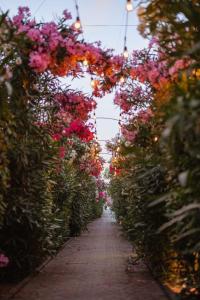 Um jardim no exterior de Godija Hotel & Suites