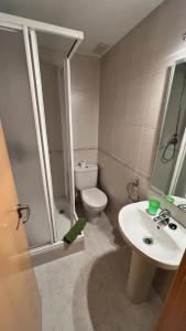 een badkamer met een toilet, een wastafel en een douche bij Vivac Jaca in Jaca