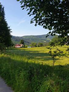 ein Grüngrasfeld mit einem Haus in der Ferne in der Unterkunft Apartament Spokojna Wisła in Wisła