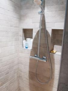 a shower with a shower head in a bathroom at Appartement cosy avec vue imprenable sur le parc d’uriage in Saint-Martin-dʼUriage