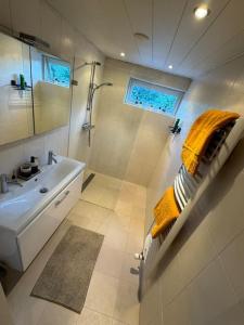y baño blanco con lavabo y ducha. en Bosrijke vakantiewoning en Lochem