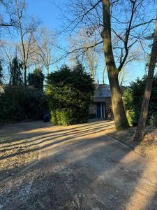 una casa con un árbol delante de una entrada en Bosrijke vakantiewoning en Lochem