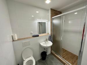 uma casa de banho com um WC, um lavatório e um chuveiro em Hotel Hangar em Mošnov