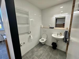 a white bathroom with a toilet and a sink at Hotel Hangar in Mošnov