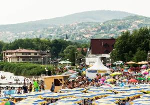 a crowd of people on a beach with umbrellas at Agave Apartman in Velence