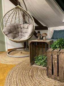 a room with a hanging chair and a rug at Jungle Cosy in Louviers