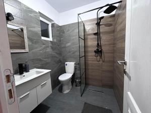 a bathroom with a shower and a toilet and a sink at Casa Irinei in Poiana Mărului