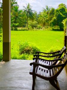 una panchina seduta su un portico che guarda fuori un campo di Wilpattu Green Cabin a Achchamulai
