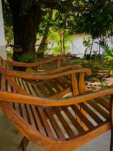 a wooden bench sitting in front of a tree at Wilpattu Green Cabin in Achchamulai