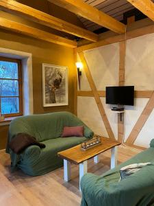 バート・ラウターベルクにあるAußergewöhnliche Ferienwohnungen im Cottage im Harz - Earl's Lane - Schottland im Harzの緑のソファとテーブルのあるリビングルーム