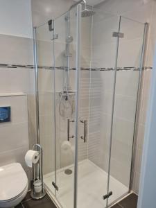 a shower with a glass door in a bathroom at Oase der Ruhe: Haus mit Garten in Lohmar