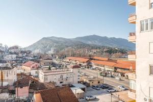 a view of a city with mountains in the background at Kilian Apartment in Shkodër