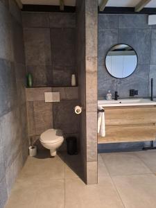 a bathroom with a toilet and a sink and a mirror at Villa the Tulip JACK in Julianadorp +10 photos