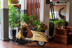 un scooter jaune garé dans une pièce avec des plantes en pot dans l'établissement SAKABAN Suite, à Siem Reap