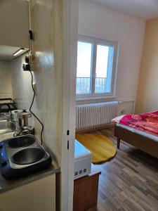 Kuchyň nebo kuchyňský kout v ubytování Tererka apartment