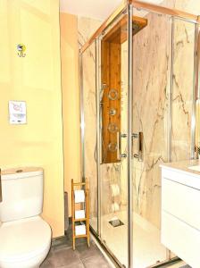 ein Bad mit einem WC und einer Dusche in der Unterkunft AdriVA Fuente Dorada-Plaza Mayor, Wifi Atico in Valladolid