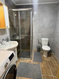Koupelna v ubytování Swan Apartman