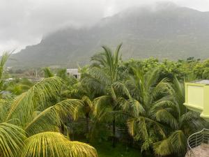 a view of a mountain with a bunch of palm trees at Mountain Tranquility in Quatre Bornes